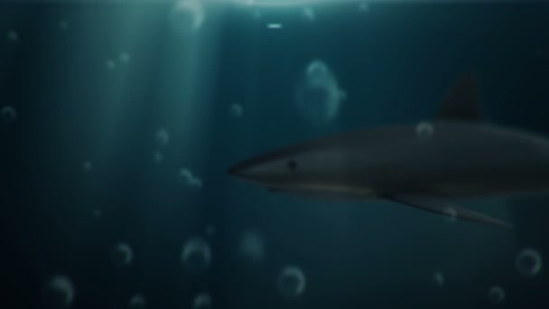 Animation Footage Shark Underwater Seamless Loop — Stock Video