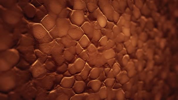 Organik Yüzeyde Turuncu Dalgaların Canlandırılmasıyla Soyut Arkaplan Kusursuz Döngü Animasyonu — Stok video