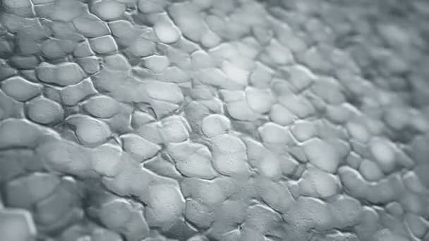 Abstrakter Hintergrund Mit Animation Weißer Wellen Organischer Oberfläche Animation Einer — Stockvideo