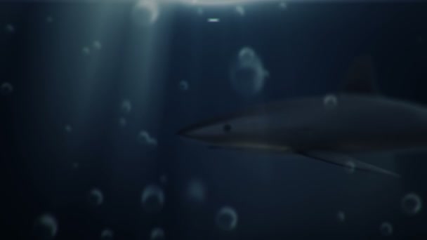 Animation Footage Shark Underwater Seamless Loop — 비디오