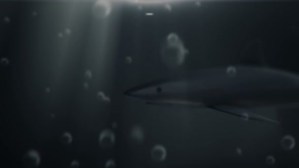 Altındaki Köpekbalığının Boyutlu Animasyon Görüntüleri Kusursuz Döngü — Stok video