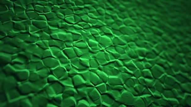 有機表面における緑の波紋のアニメーションを用いた抽象的な背景 シームレスなループのアニメーション — ストック動画