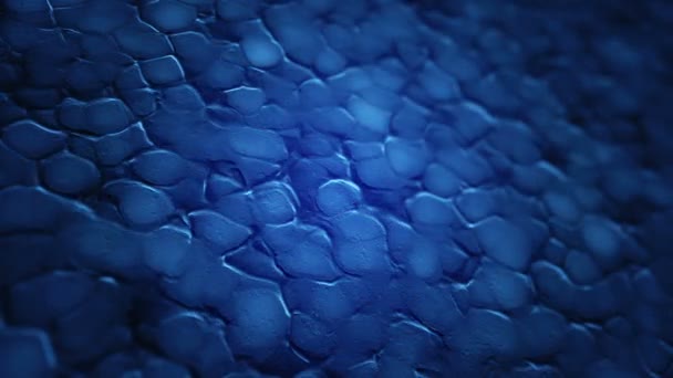 Fond abstrait avec animation des ondulations bleues en surface organique, Animation de boucle transparente 