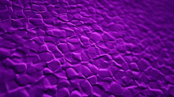 Абстрактный Фон Анимацией Фиолетовой Рябины Органической Поверхности Анимизация Безморской Ловушки — стоковое видео