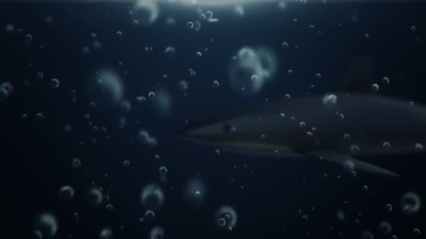 Imágenes Animación Tiburón Bajo Agua Bucle Sin Costuras — Vídeos de Stock