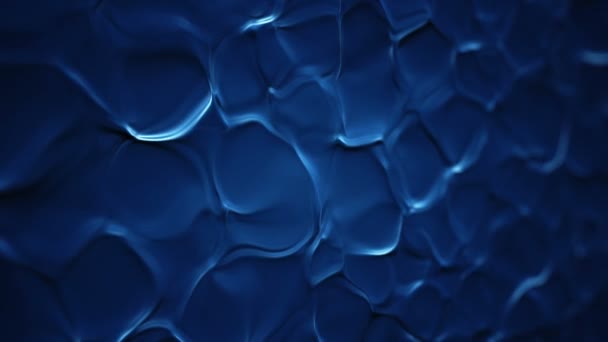 Fond Abstrait Avec Animation Des Ondulations Bleues Surface Organique Animation — Video
