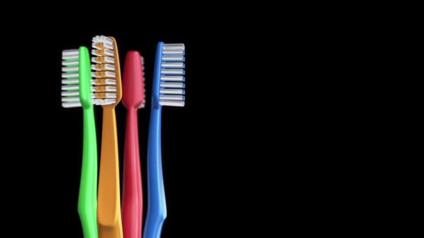 Animation Rotation Toothbrushes Animation Seamless Loop — Stock Video