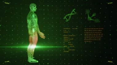 Soyut arayüzün animasyonuyla arka plan. İnsan vücudu, DNA sarmalları ve atom modelleri kablo biçiminde ve animasyon programlama kodlarında. Kusursuz döngünün animasyonu.