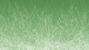 Yavaş hareket eden beyaz parçacıkların canlandırılmasıyla soyut yeşil arkaplan. Kusursuz döngünün animasyonu.