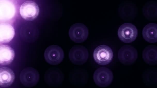 물기없는 고리의 애니메이션 라이트 납으로 보라색 전구의 애니메이션 — 비디오