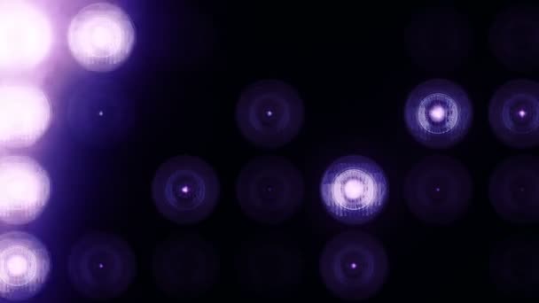 Анимация Фиолетовых Мигающих Лампочек Лидирующей Стене Анимация Бесшовного Цикла Концепция — стоковое видео