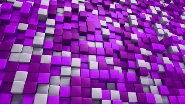 Technologischer Hintergrund Mit Animation Des Wellenmosaiks Aus Violetten Quadraten Animation — Stockvideo