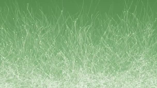 Abstract Groene Achtergrond Met Animatie Van Langzaam Bewegende Witte Deeltjes — Stockvideo