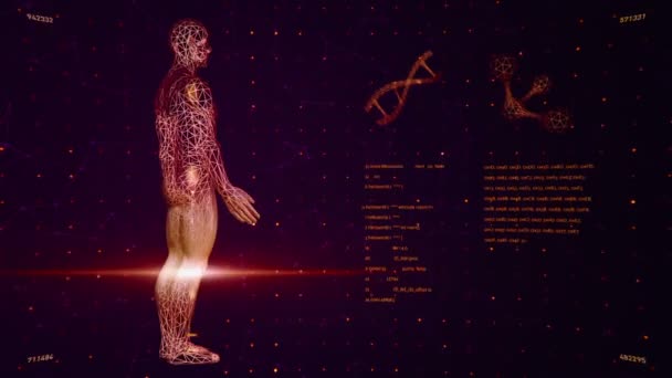 Fondo Con Animación Interfaz Abstracta Cuerpo Humano Espirales Adn Modelos — Vídeos de Stock