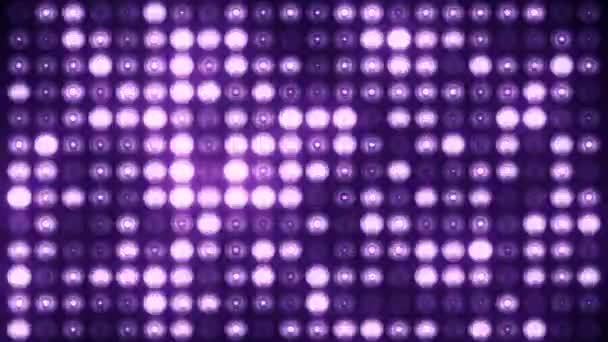 Animation d'ampoules clignotantes violettes sur mur led, Animation de boucle transparente, concept de lumières de scène  