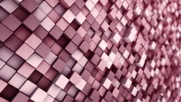 Технологический Фон Анимацией Волновой Мозаики Красных Квадратов Анимация Бесшовного Цикла — стоковое видео