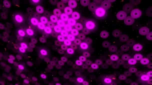 Abstract Background Flashing Floor Purple Led Lights Projectors Animation Seamless — Stock Video