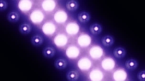 Animation Purple Flashing Light Bulbs Led Wall Animation Seamless Loop — Stock Video