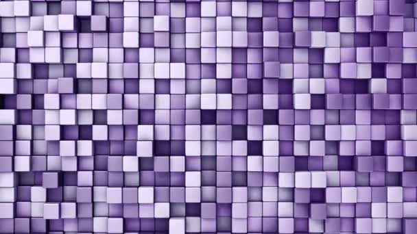 Technological Background Animation Wave Mosaic Purple Squares Animation Seamless Loop — Stock Video