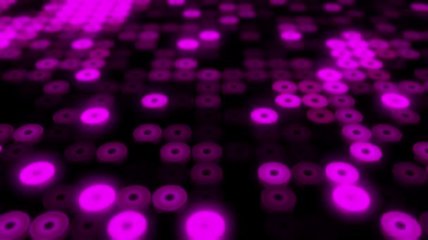 Abstract Background Flashing Floor Purple Led Lights Projectors Animation Seamless — Stock Video