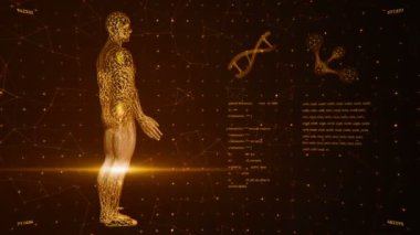 Soyut arayüzün animasyonuyla arka plan. İnsan vücudu, DNA sarmalları ve atom modelleri kablo biçiminde ve animasyon programlama kodlarında. Kusursuz döngünün animasyonu.