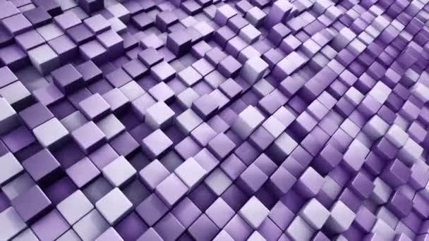 Fondo Tecnológico Con Animación Mosaico Ondas Cuadrados Púrpura Animación Bucle — Vídeos de Stock