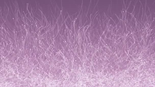 带动画的紫色背景 缓慢运动的白色颗粒 无缝循环动画 — 图库视频影像