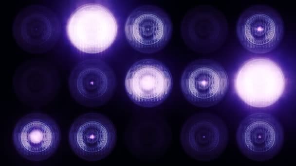 Animation Ampoules Clignotantes Violettes Sur Mur Led Animation Boucle Transparente — Video