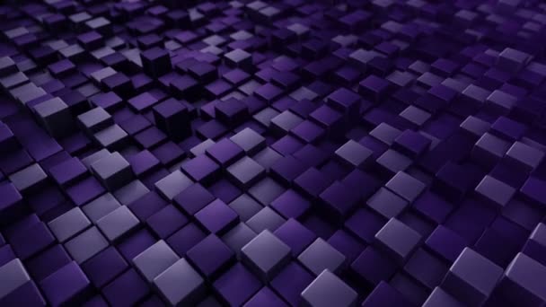 Fond Technologique Avec Animation Vague Mosaïque Carrés Violets Animation Boucle — Video