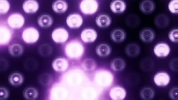 Animation Ampoules Clignotantes Violettes Sur Mur Led Animation Boucle Transparente — Video