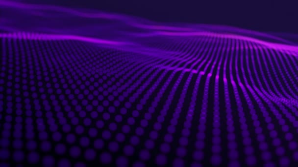 Abstract Background Wavy Lines Purple Points Animation Ripples Surface Neon — ストック動画