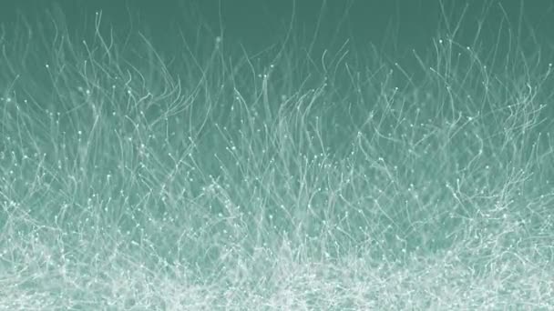 带动画的缓慢运动的白色粒子的蓝绿色背景 无缝循环动画 — 图库视频影像