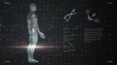 Soyut arayüzün animasyonuyla arka plan. İnsan vücudu, DNA sarmalları ve atom modelleri kablo biçiminde ve animasyon programlama kodlarında. Kusursuz döngünün animasyonu.