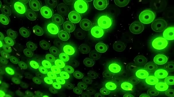 Yeşil Işık Projektörlerden Yanıp Sönen Zemin Ile Soyut Arkaplan Pürüzsüz — Stok video