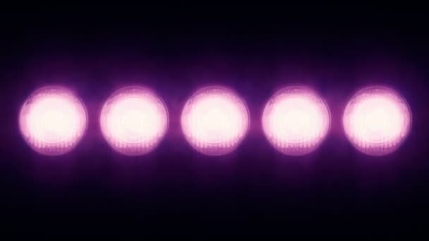 Анимация Розовых Мигающих Лампочек Лидирующей Стене Анимация Бесшовного Цикла Концепция — стоковое видео