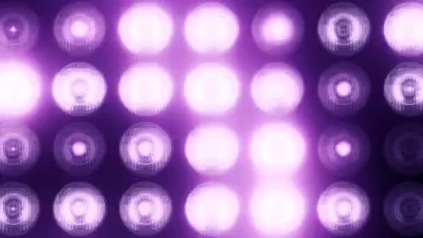 铅墙上紫色闪光灯泡的动画 无缝回路的动画 舞台灯光的概念 — 图库视频影像