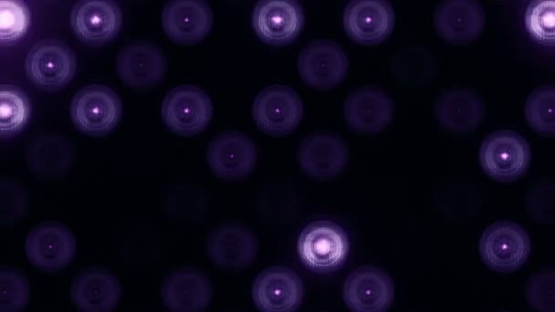 Анімація Фіолетових Блимаючих Лампочок Стіні Анімація Безшовної Петлі Концепція Сценічних — стокове відео