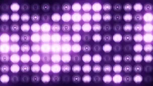 Animazione Lampadine Lampeggianti Viola Parete Led Animazione Loop Senza Soluzione — Video Stock