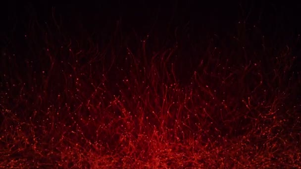 Fondo Oscuro Abstracto Con Animación Partículas Rojas Movimiento Lento Animación — Vídeo de stock