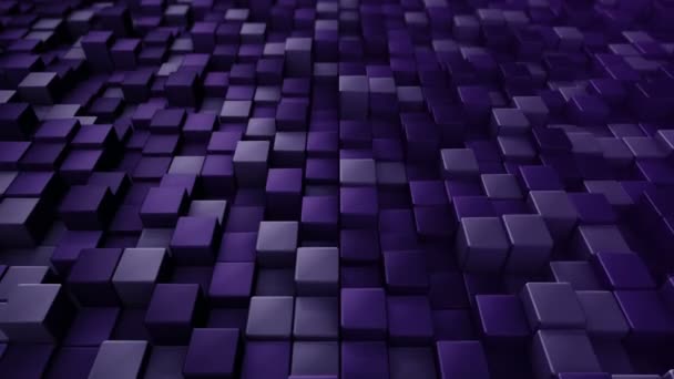 Технологический Фон Анимацией Волновой Мозаики Фиолетовых Квадратов Анимация Бесшовного Цикла — стоковое видео
