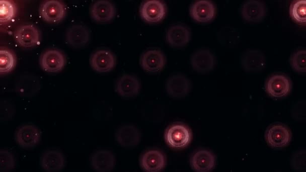 铅墙上红色闪光灯泡的动画 无缝回路的动画 舞台灯光的概念 — 图库视频影像