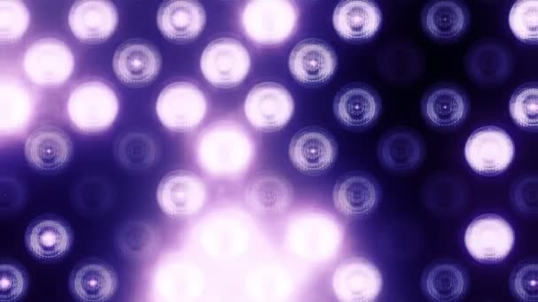 Animation Ampoules Clignotantes Violettes Sur Mur Led Animation Boucle Transparente — Video