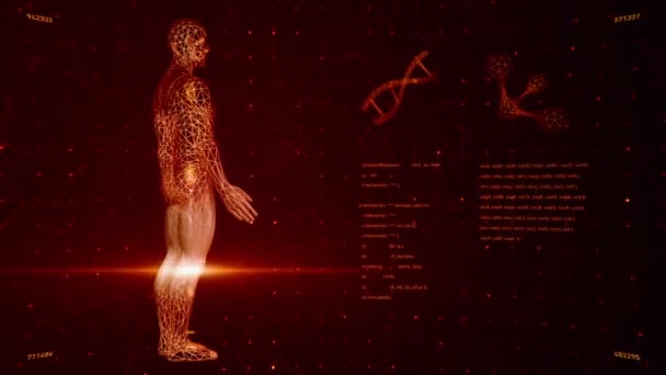Tło Animacją Abstrakcyjnego Interfejsu Ludzkie Ciało Spirale Dna Modele Atomów — Wideo stockowe