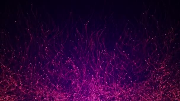 Abstract Dark Background Animation Slow Moving Purple Particles Animation Seamless — Stock Video