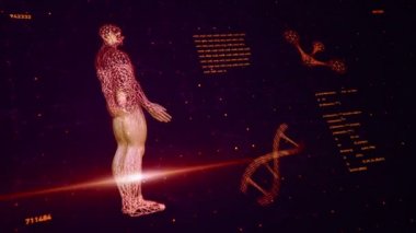 Soyut arayüzün animasyonuyla arka plan. İnsan vücudu, DNA sarmalları ve atom modelleri kablo biçiminde ve animasyon programlama kodlarında. Kusursuz döngünün animasyonu.