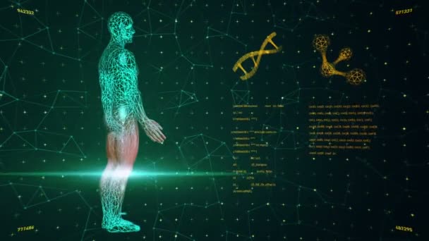Фон Анімацією Абстрактного Інтерфейсу Людське Тіло Спіралі Днк Моделі Атома — стокове відео