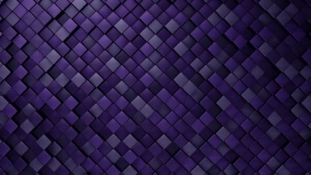 Sfondo Tecnologico Con Animazione Onda Mosaico Quadrati Viola Animazione Del — Video Stock