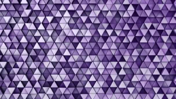 Fond technologique abstrait avec animation de la mosaïque ondulatoire de triangles violets, Animation de boucle transparente .