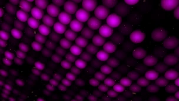 Абстрактний Фон Миготливою Підлогою Фіолетових Світлодіодних Ліхтарів Проекторів Анімація Безшовної — стокове відео