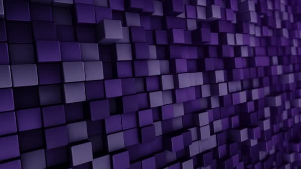 Technological Background Animation Wave Mosaic Purple Squares Animation Seamless Loop — Stock Video